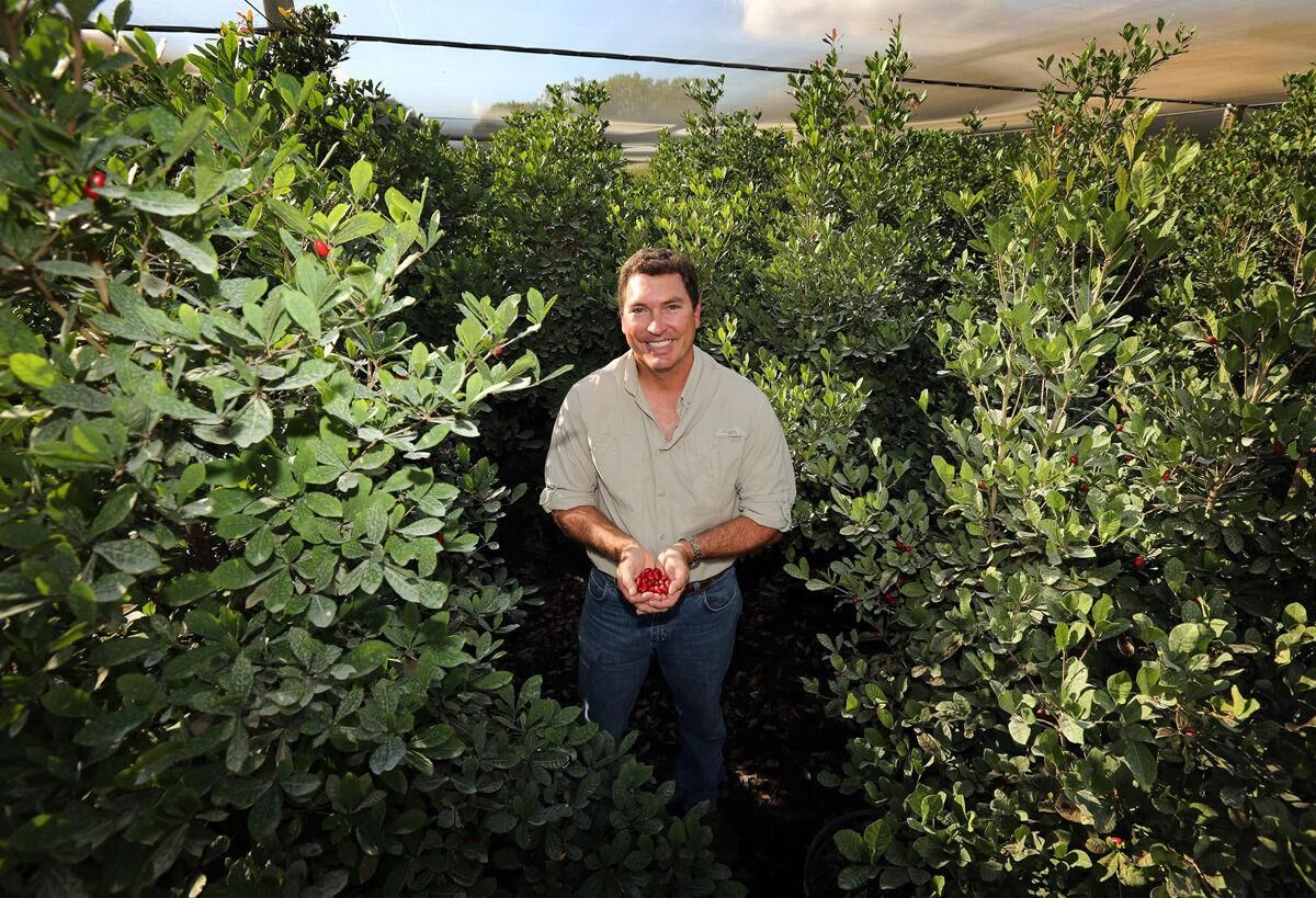 Eric Tietig at his Miracle Fruit Farm, in the Redland, where he is co-owner and CEO.